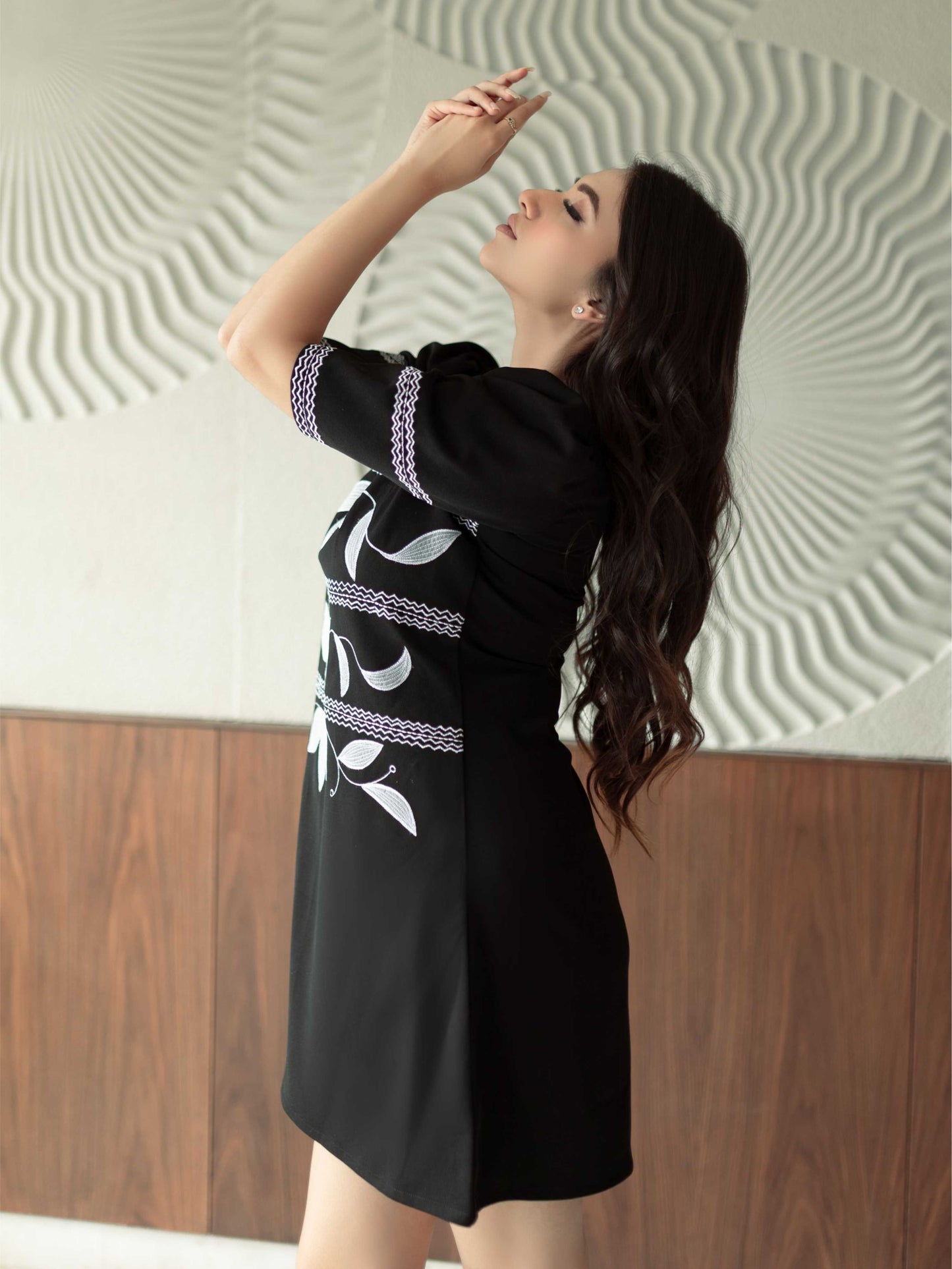 Black Elegant Embroidered Dress