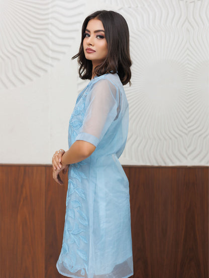 Ice Blue Thread Work Organza Dress